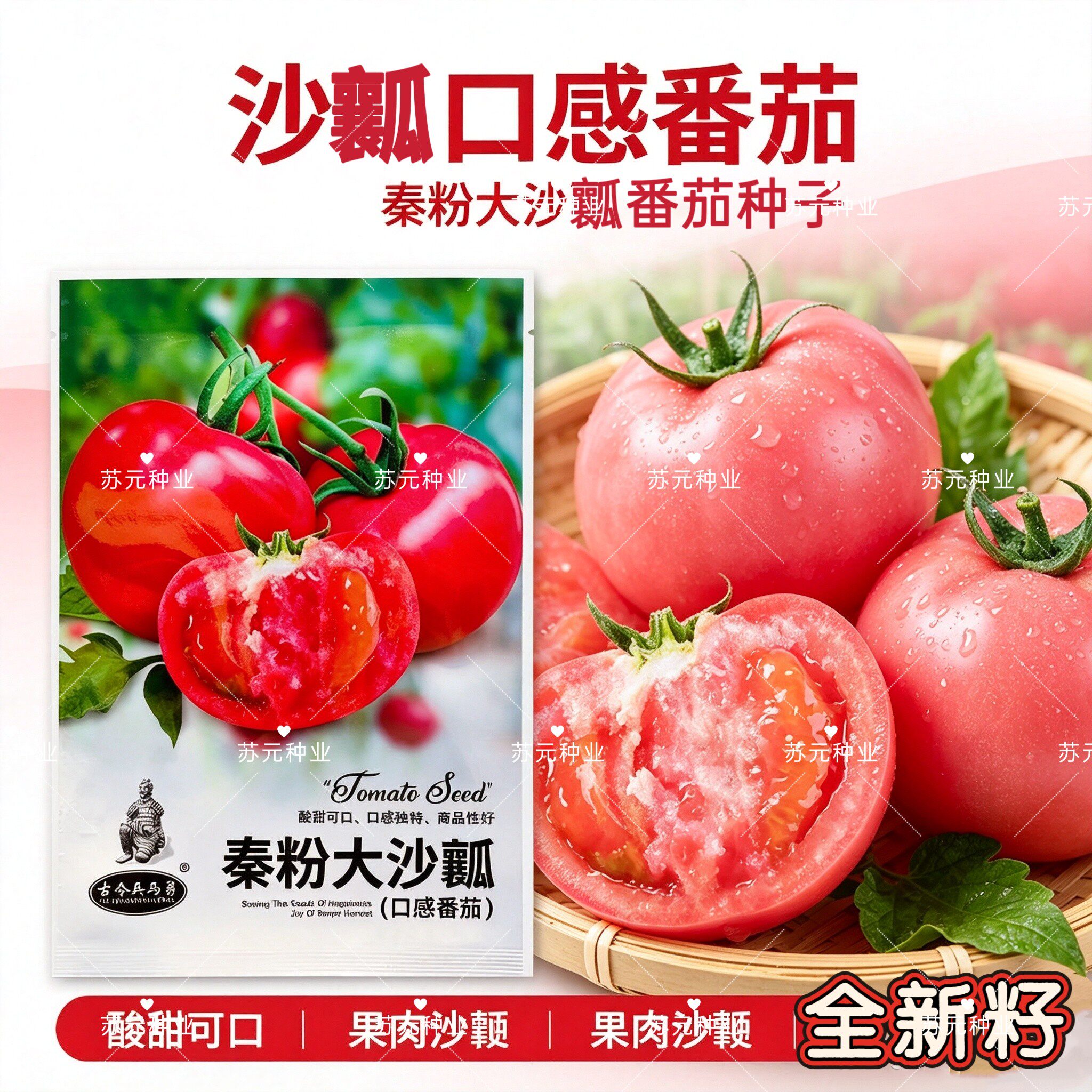秦粉大沙瓤西红柿种子早熟高产大果大红毛粉老番茄红宝石老品种子
