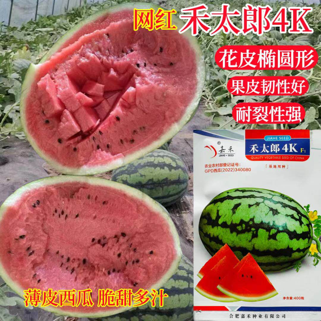 禾太郎4K西瓜种子春秋播种礼品西瓜薄皮干沙红瓤高甜度耐低温弱光