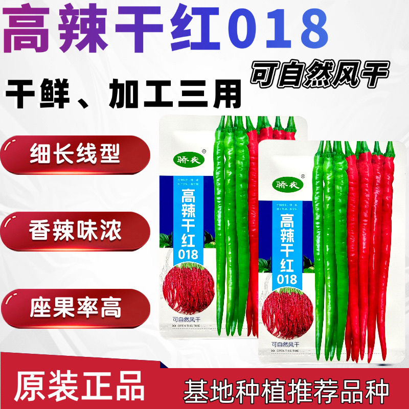 高辣干红018细长线型线椒辣椒籽中早熟干鲜加工三用辣椒高产抗病