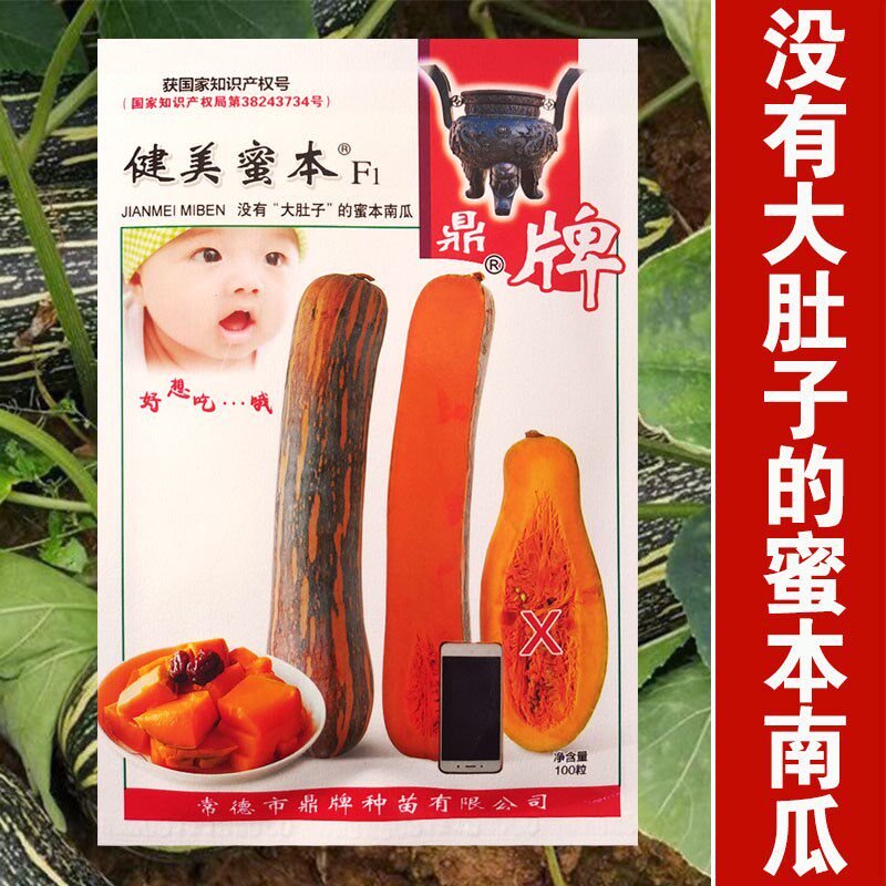 健美蜜本南瓜种子超甜粉面蜜本南瓜种子甜面南瓜籽早熟高产南瓜籽