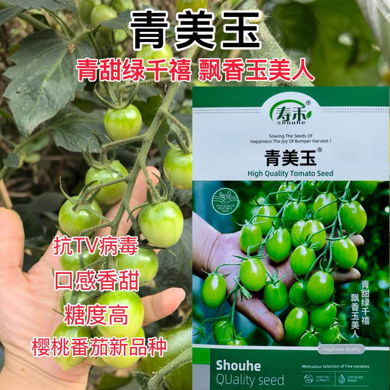 寿禾青美玉樱桃口感番茄抗病毒病糖度高口感好绿千禧番茄种子10粒