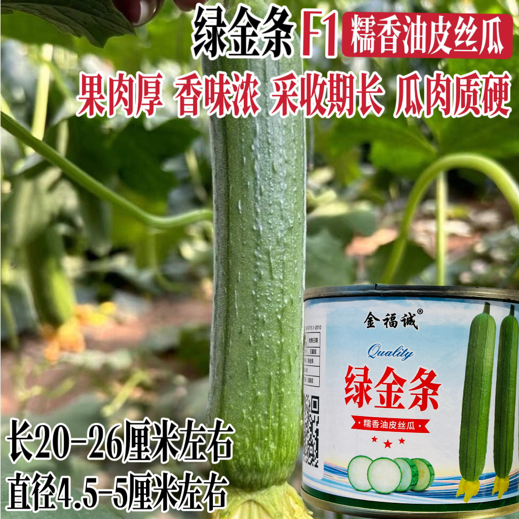 绿金条油亮丝瓜种子早熟短棒油亮香丝瓜种子高产瓜味浓油亮丝瓜种