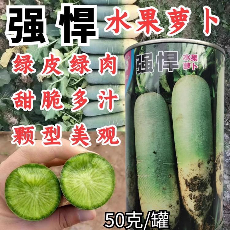 强悍水果萝卜种子超高品质绿皮绿肉秋季甜脆多汁大青萝卜蔬菜种子