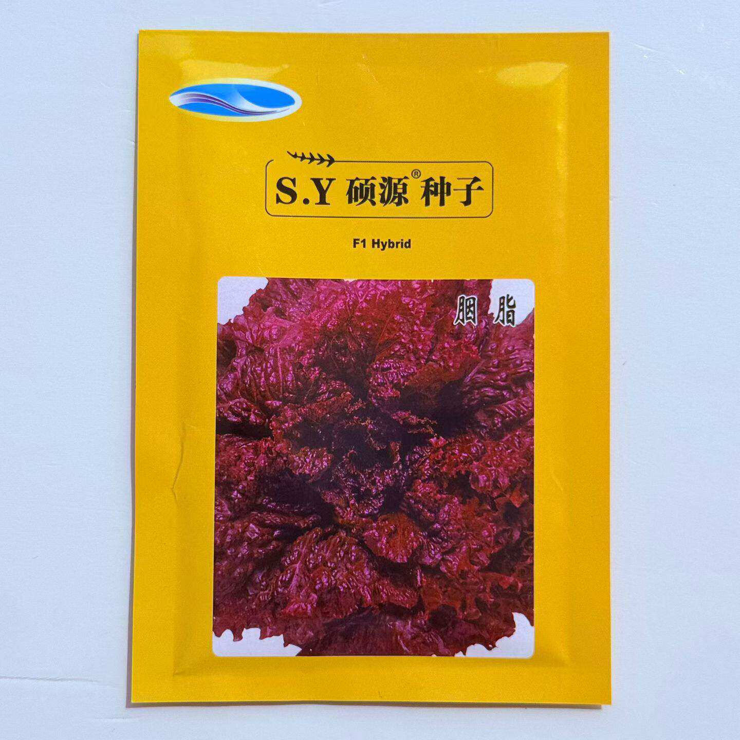 胭脂生菜种子种籽红叶紫叶紫大速生慕斯奶油四季盆栽紫色蔬菜种孑