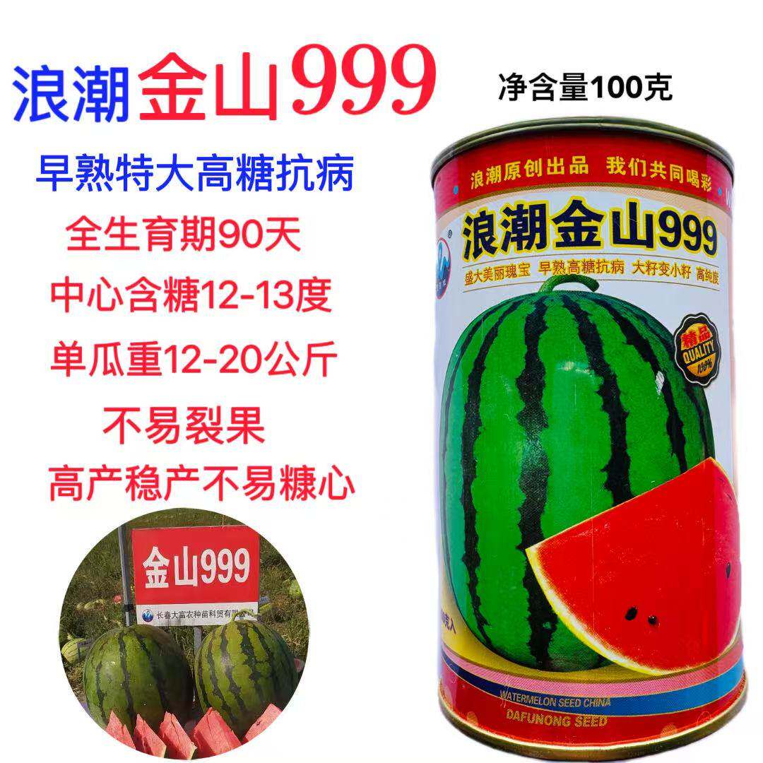 浪潮金山999中早熟西瓜种子高糖皮薄小黑籽不空心抗病抗裂大地雷