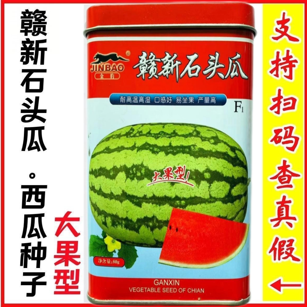 赣新石头瓜种子超甜大红瓤西瓜种籽耐高温耐重茬大西瓜巨型春季种