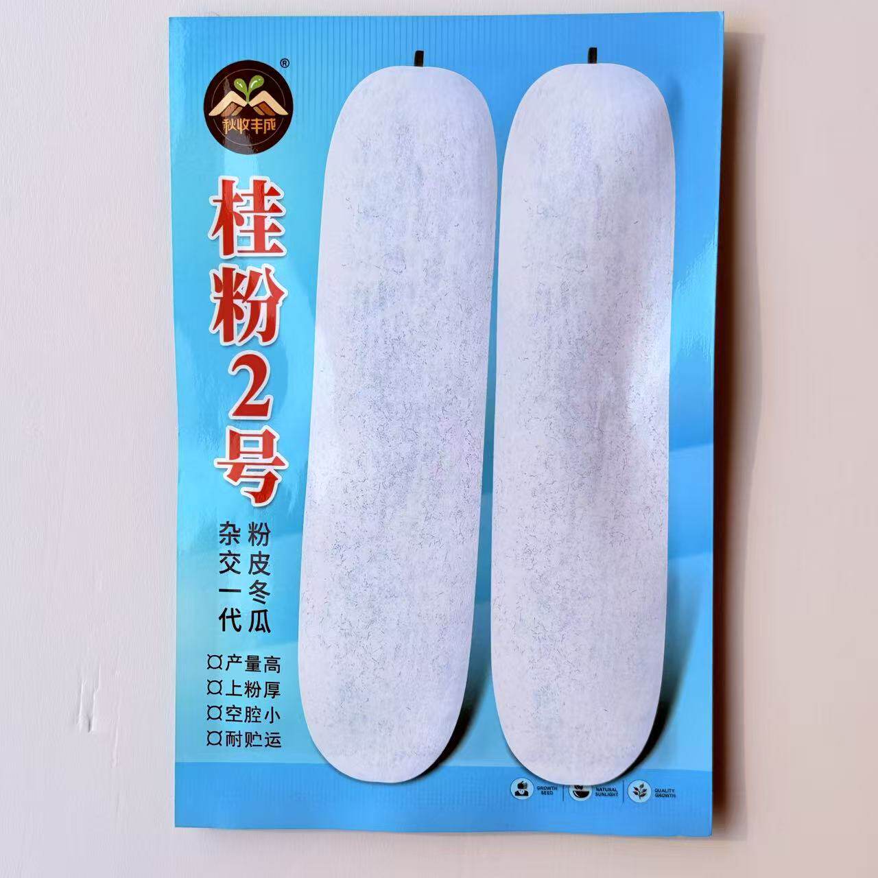 桂粉2号粉皮大冬瓜种子白皮冬瓜春播庭院盆栽蔬菜种籽特大冬瓜孑