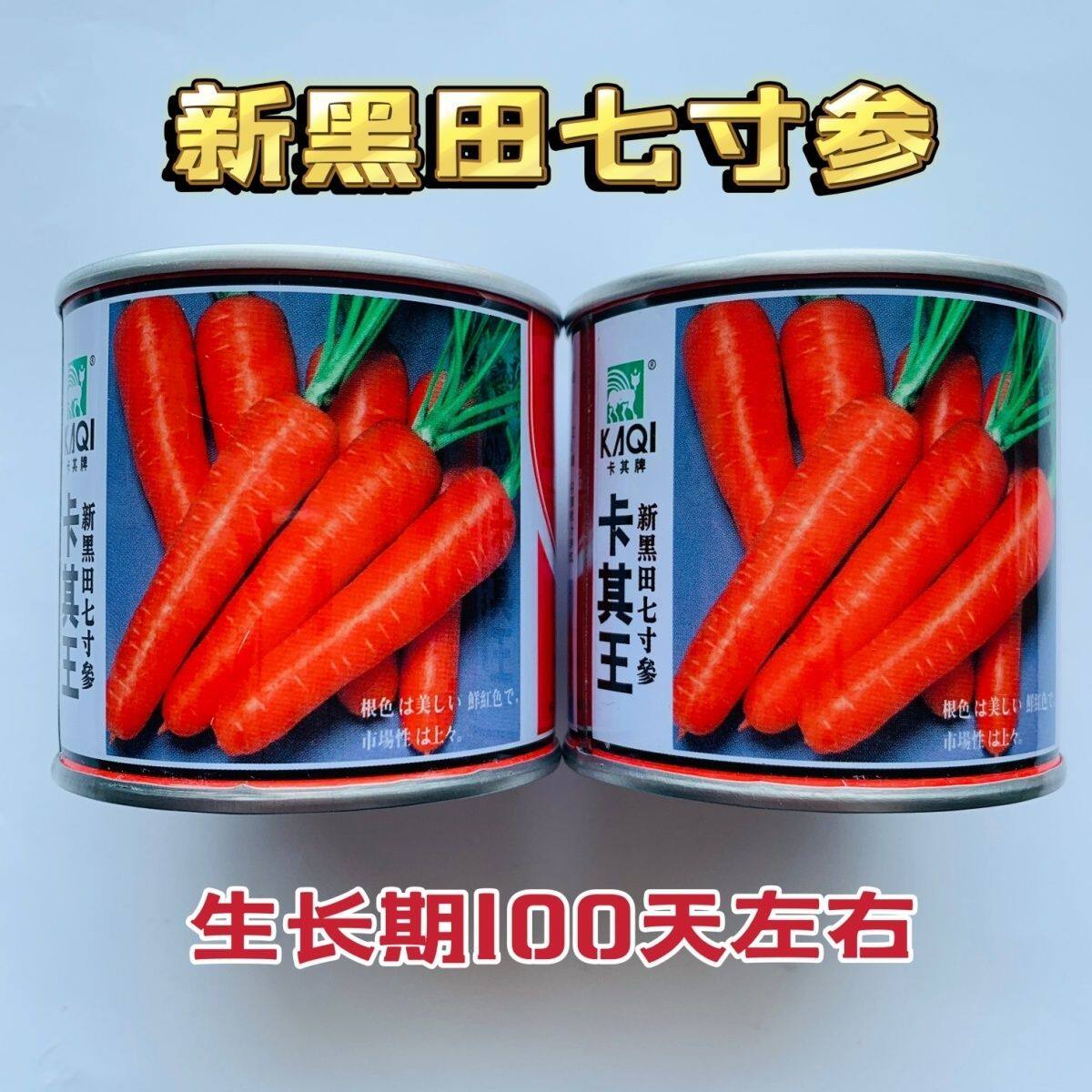 卡其王新黑田七寸参胡萝卜种子非转基因品质优皮肉芯三红胡萝卜籽