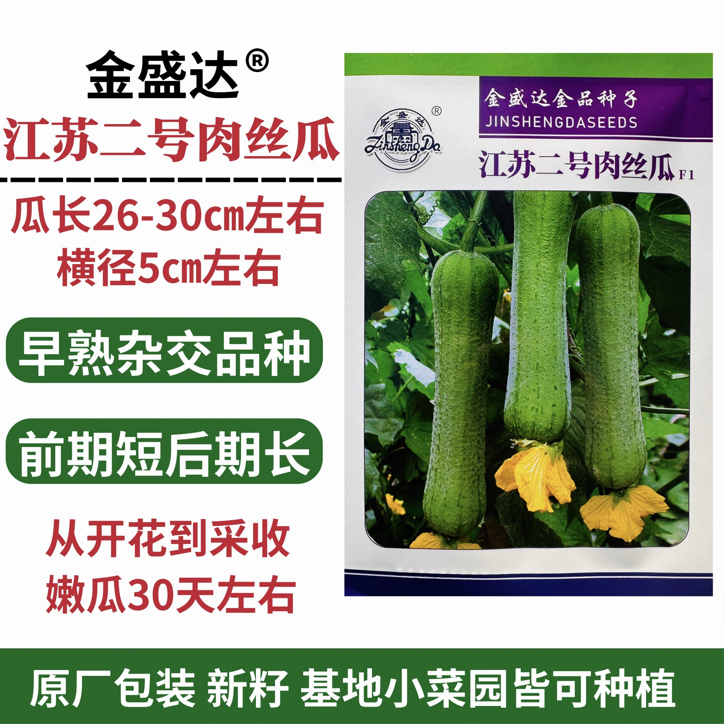 江苏二号肉丝瓜种子优质早熟短棒高产丝瓜种籽抗病农家春季蔬菜籽
