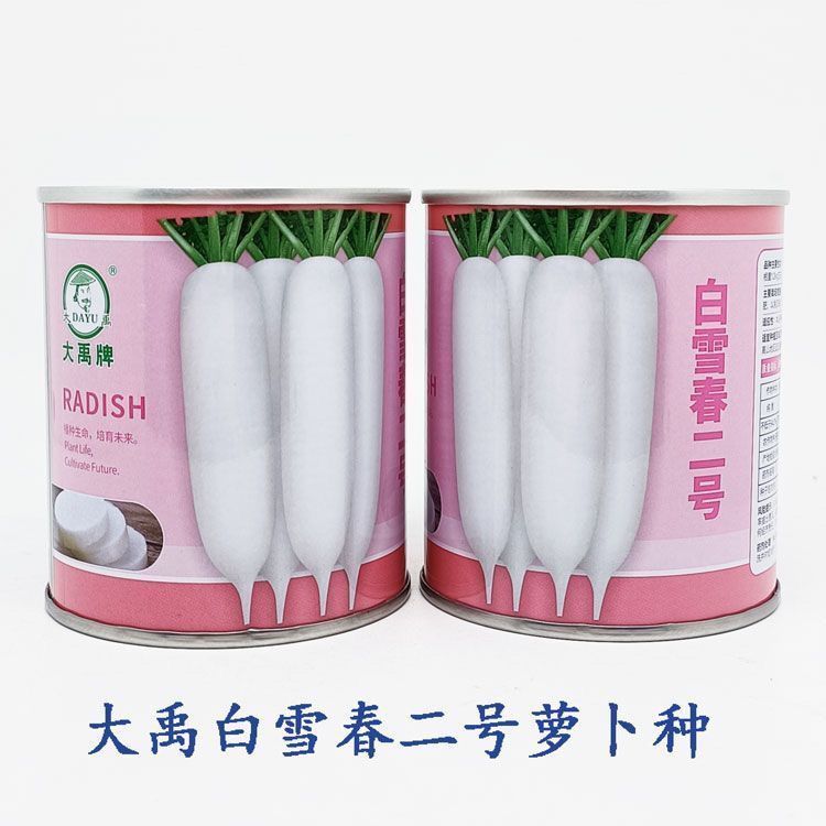大禹牌白雪春二号白萝卜种子春秋露地栽培早熟不易糠心耐抽苔种籽