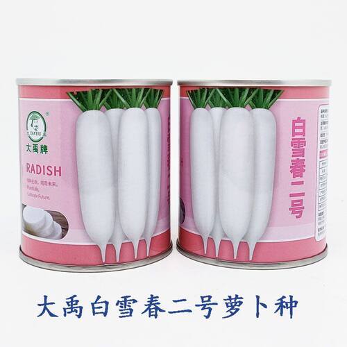大禹牌白雪春二号白萝卜种子春秋露地栽培早熟不易糠心耐抽苔种籽