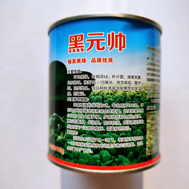 黑元帅青梗菜种子黑绿叶青菜种籽耐热耐寒束腰整齐叶柄亮绿春秋季