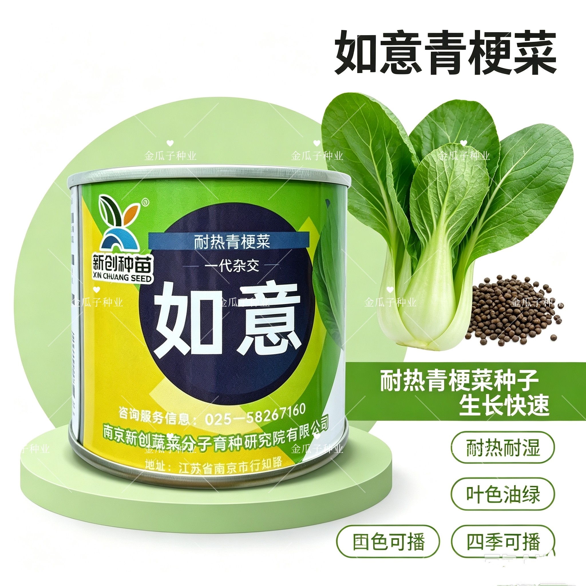 新创种苗如意耐热青梗菜种子 一代杂交耐高温小白菜 夏季抗热青菜