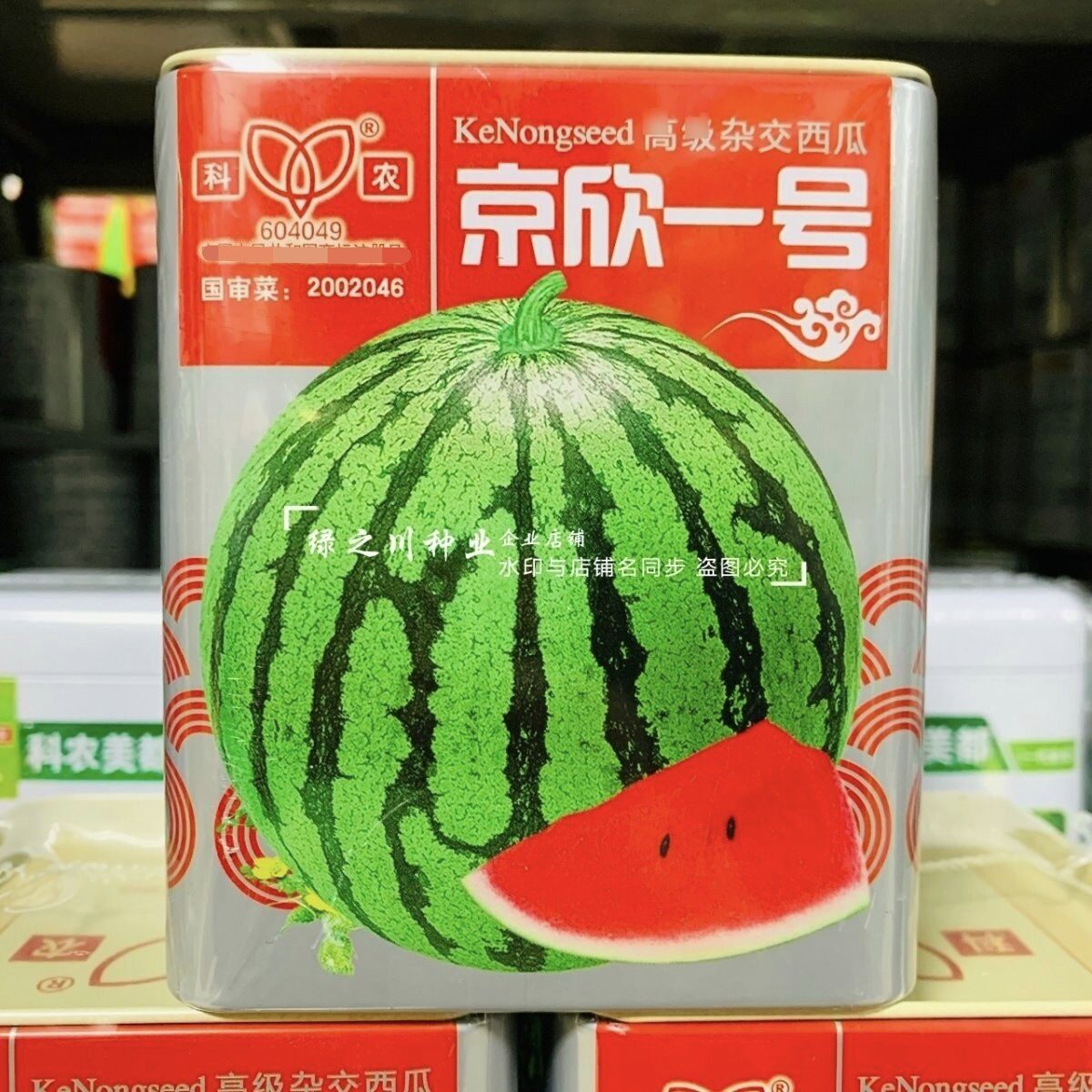 京欣一号西瓜种子大红瓤耐裂花皮圆形西瓜种子极早熟西瓜种籽大果