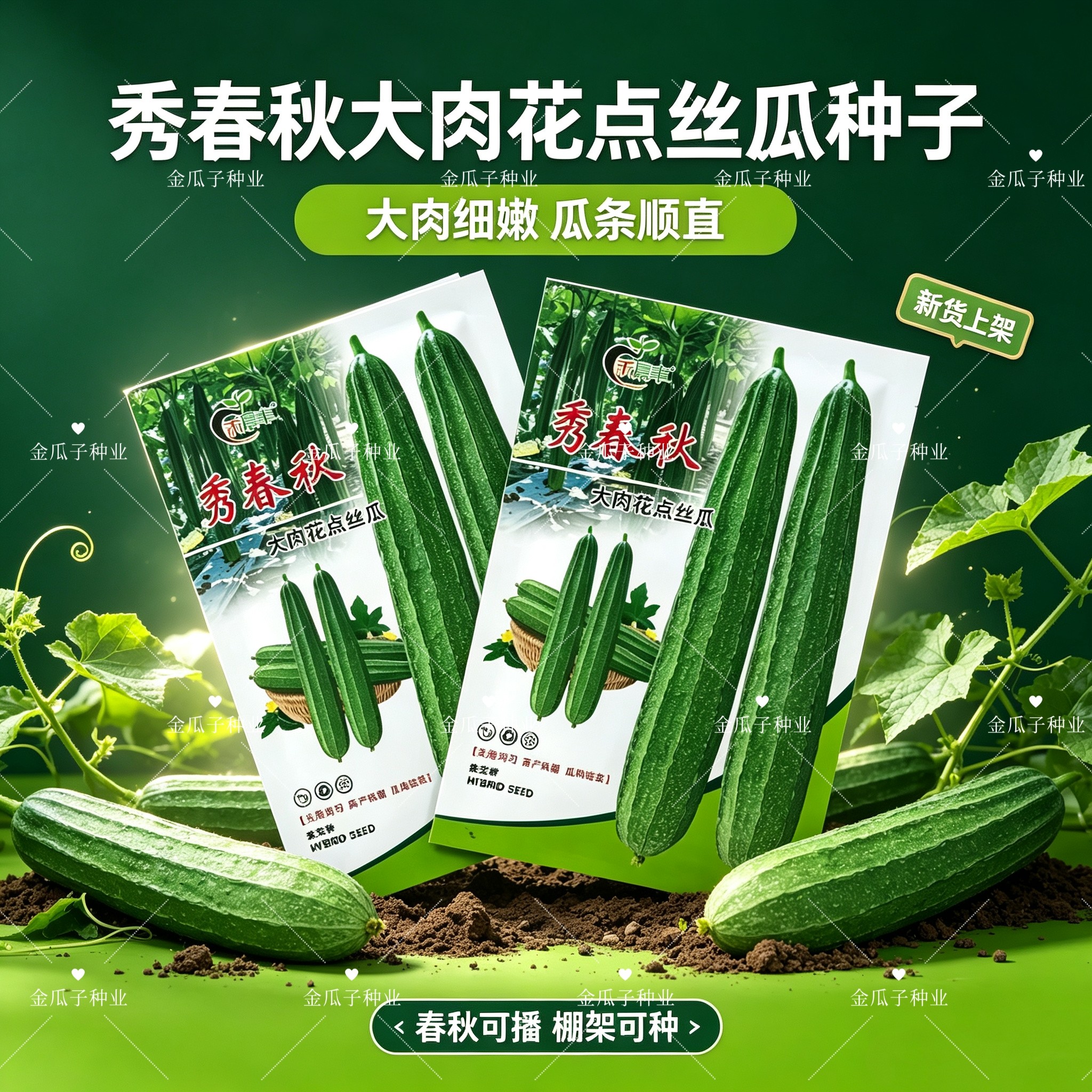 秀春秋大肉花点丝瓜种子耐热耐寒早熟口感清甜肉丝瓜种子基地抗病