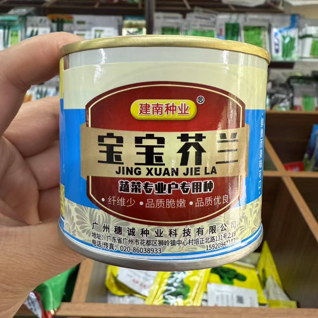 宝宝芥兰菜种籽广东芥蓝菜籽四季高产介兰菜种子青菜籽种蔬菜种孑