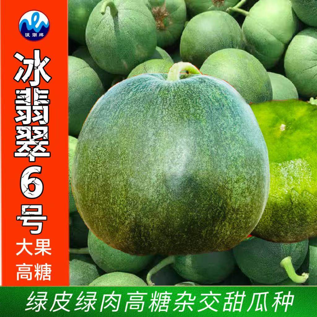 冰翡翠6号绿皮甜瓜种子高糖度甜瓜籽春夏季播爽口高产瓜香味浓郁