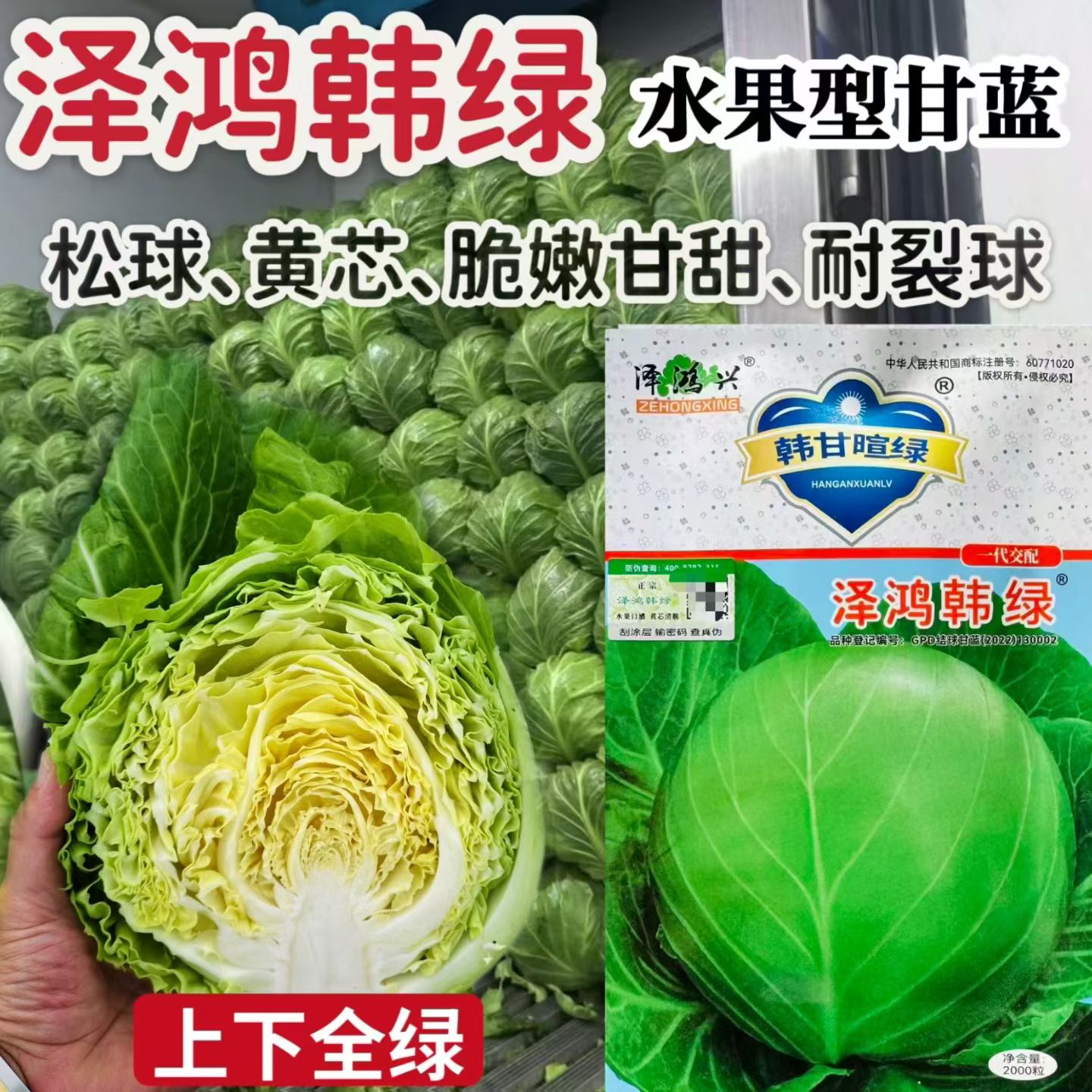 正品泽鸿韩绿甘蓝种子绿球黄心甘蓝种子四季春季秋季绿色耐寒耐热