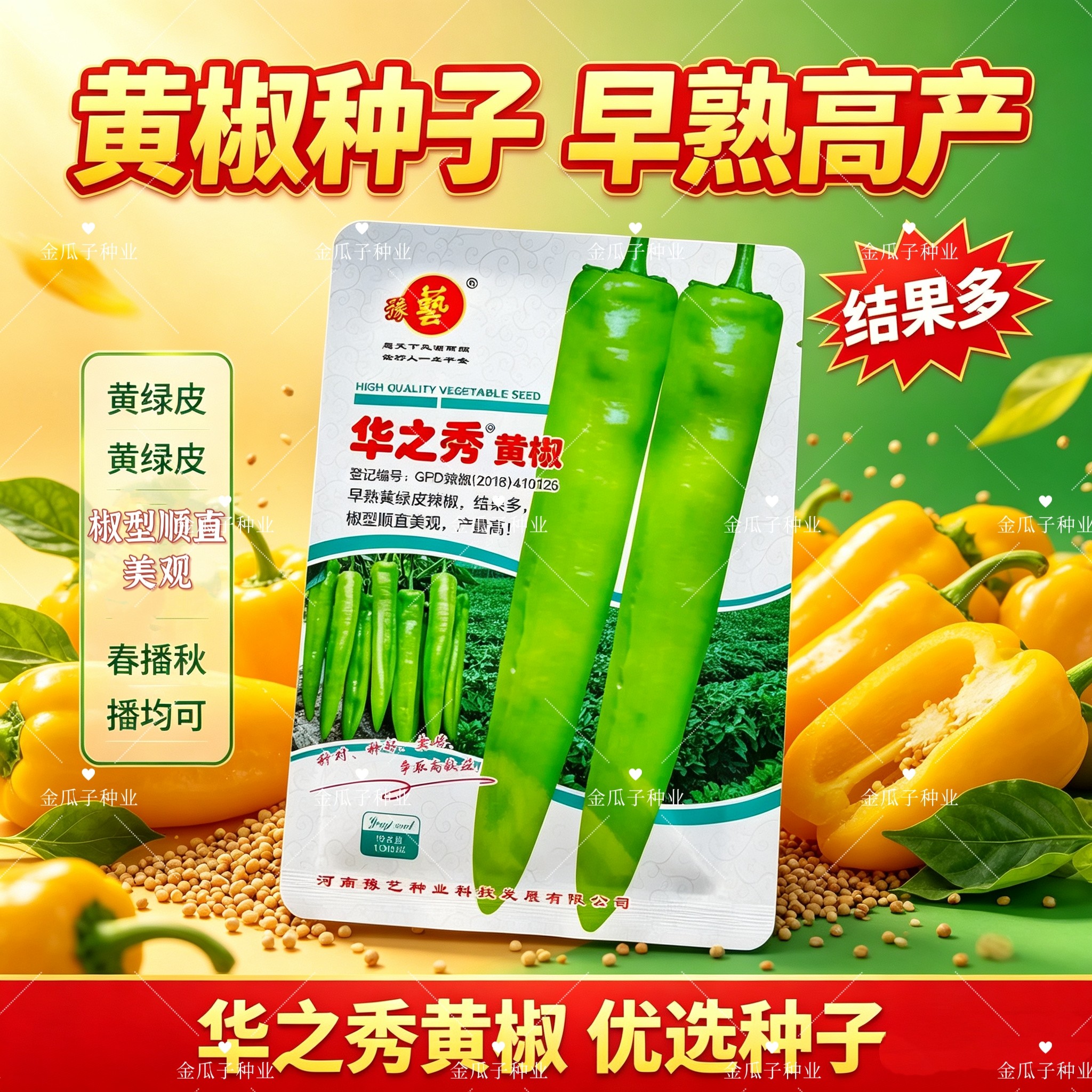 华之秀黄椒种子早熟黄绿皮尖椒种子结果多抗病性强长果羊角椒种子