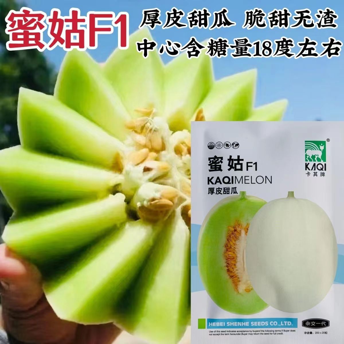 卡其蜜姑甜瓜种子脆甜无渣短椭圆形绿姑甜瓜种子果肉绿色特甜水果