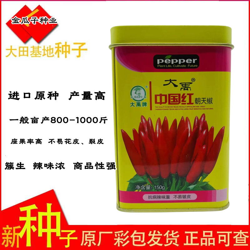 中国红朝天椒高产抗病早熟香辣