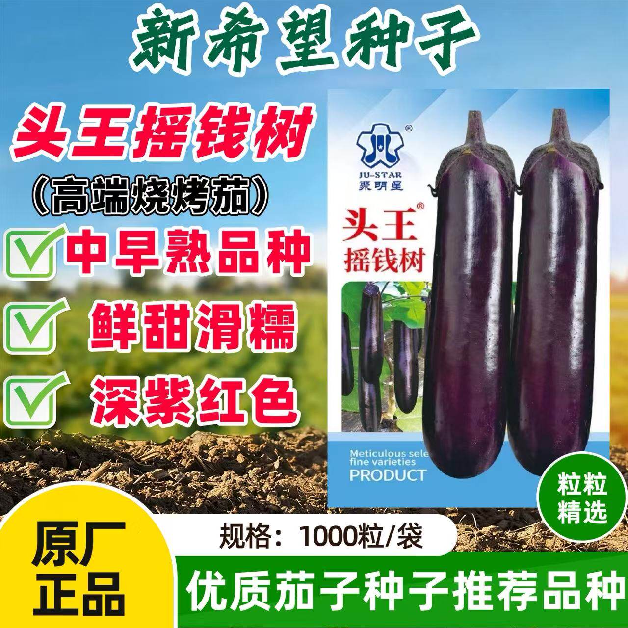 头王摇钱树杂交烧烤茄种子早中熟深紫红色短棒型抗病丰产肉浅绿白