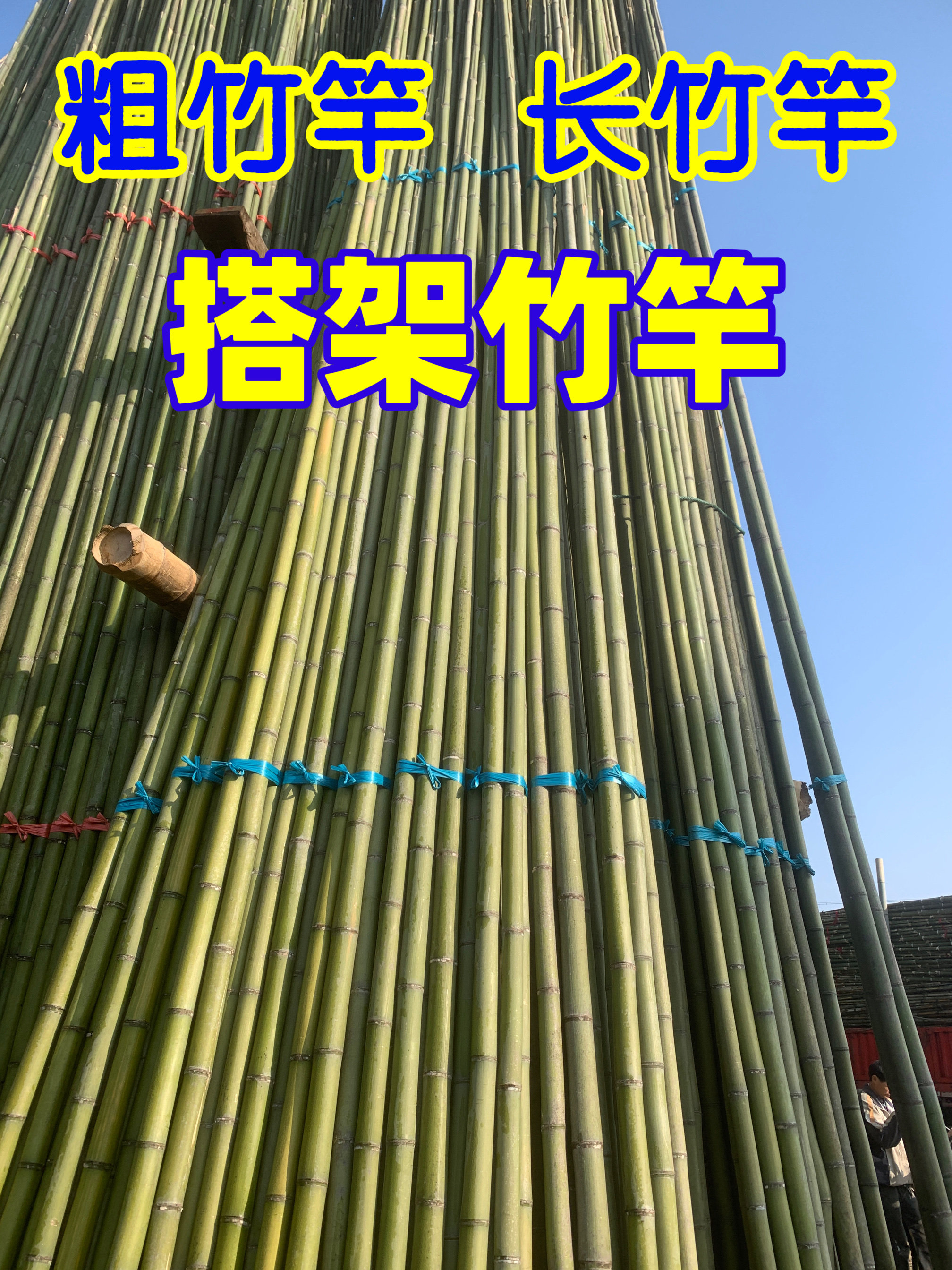 竹竿工地搭架大毛竹 大棚龙骨长竹竿粗楠竹竹杆竹子