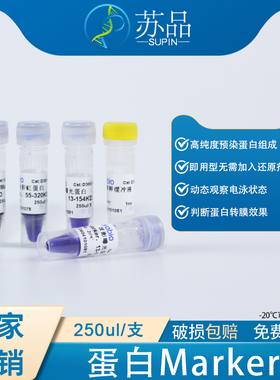 WB预染蛋白Marker 彩虹条带8-195KD 55-320KD 显影13-154KD