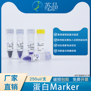 WB预染蛋白Marker 彩虹条带8-195KD 55-320KD 显影13-154KD