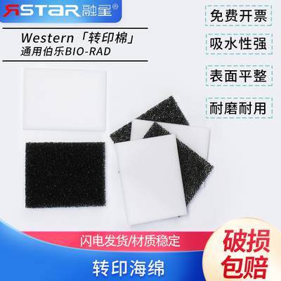 Western转印棉 湿转转印海绵垫 通用伯乐天能 海绵衬垫多孔垫