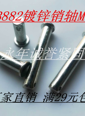 GB882镀锌销轴定位销T型销轴平头带孔圆柱销轴M12*25/30/35-150