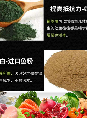 鱼食小型鱼灯鱼孔雀鱼观背青鳉