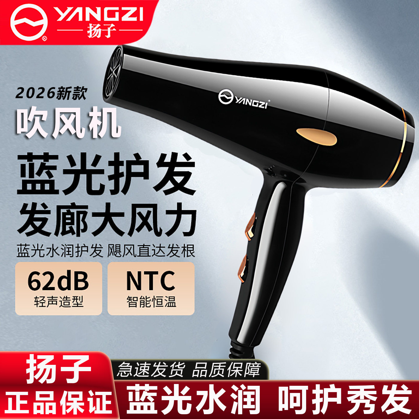 扬子吹风机高速蓝光水润护发NTC恒温电吹风低噪风大速干吹风筒,个人护理/保健/按摩器材,电吹风,淘宝优惠券,粉丝福利购,淘宝优惠卷