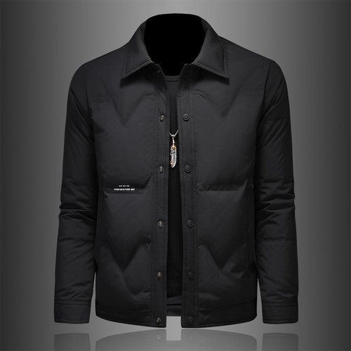 高端翻领男士羽绒服保暖白鸭绒修身韩版帅气百搭男外套青年纯色