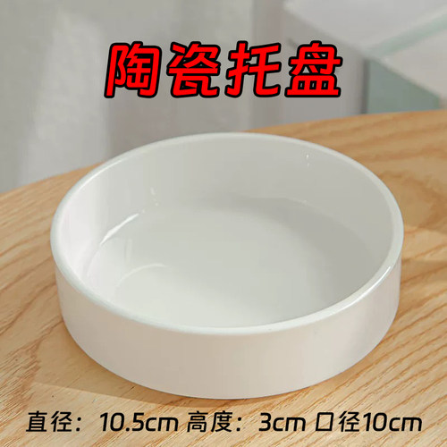 巴西木花盆陶瓷盆简约专用盆水培器皿幸运木白色现代无孔花盆托盘