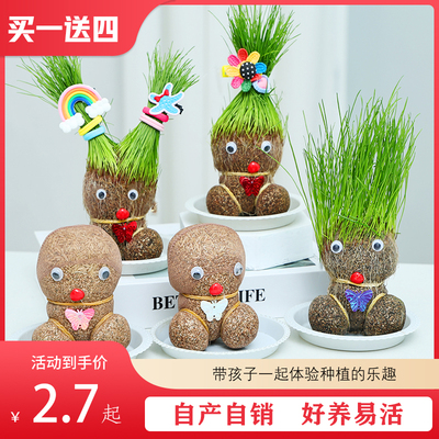头上长草草头娃娃绿植桌面水培儿童好养长草植物幼儿园盆栽小摆件