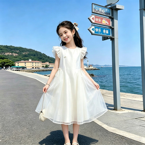 女童夏季洋气蓬蓬网纱公主连衣裙