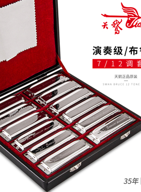 天鹅10孔布鲁斯口琴 全音阶蓝调十孔 7调/12调套装ABCDEFG调口琴