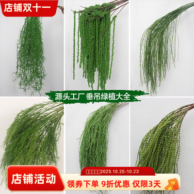 森系花艺莫奈风垂吊绿植背景挂花