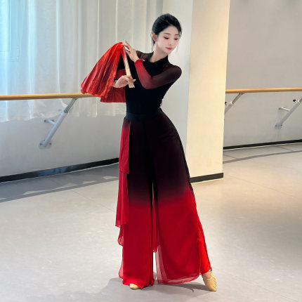 古典舞荷花奖抬龙王溯跃舞蹈服女飘逸扇子舞演出服中国风胶州秧歌