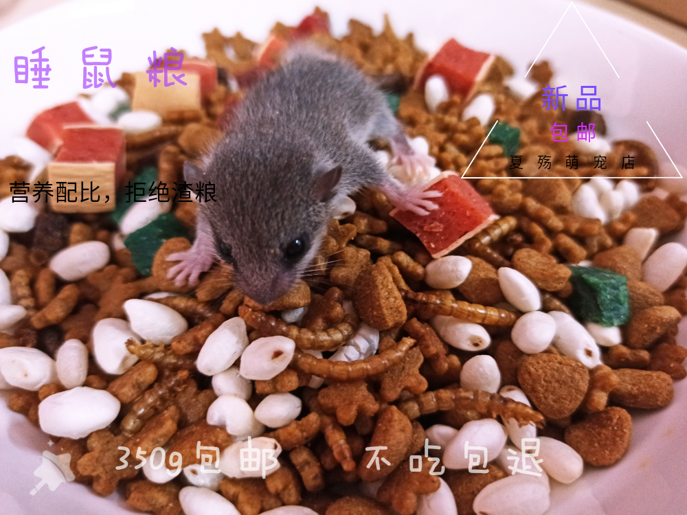 西班牙睡鼠粮主食拇指鼠迷你小龙猫饲料粮食蒙古沙鼠刺猬粮高蛋白