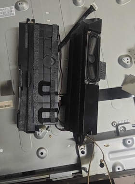 三星LA40C530F1R喇叭BN96-12837A 6Ω 10W一对价拆机件