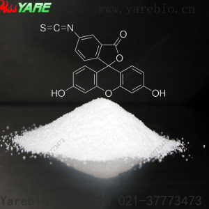 FITCCy5.5聚乙二醇荧光素标记