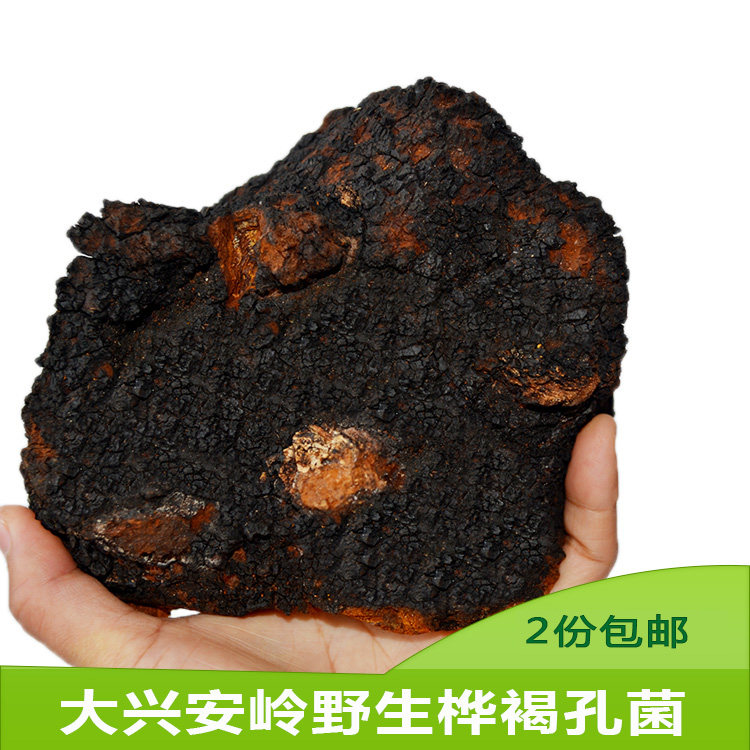 东北野生桦褐孔菌白桦茸野生桦树茸野生桦树泪250克包邮