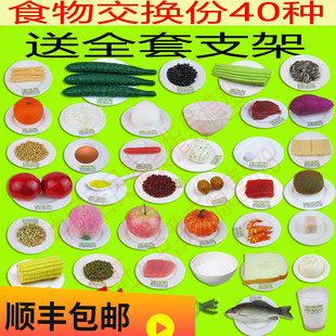 居民膳食平衡宝塔模型 40件 饮食营养指导食物模型 食物交换份