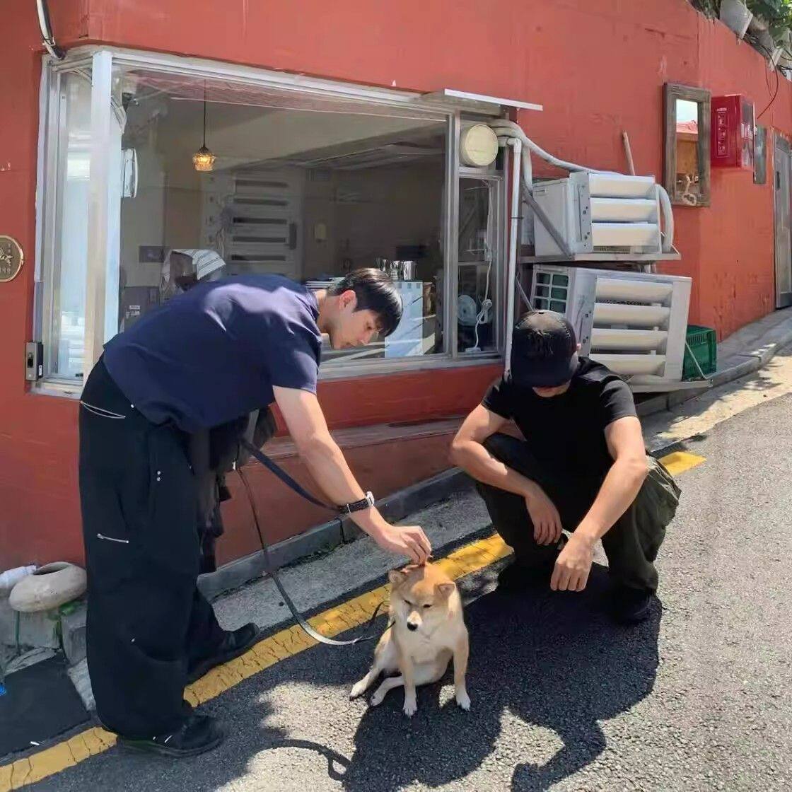 889运动宽松灰色肌肉男显收训练服健身衣服t恤肩短袖上衣正夏季袖