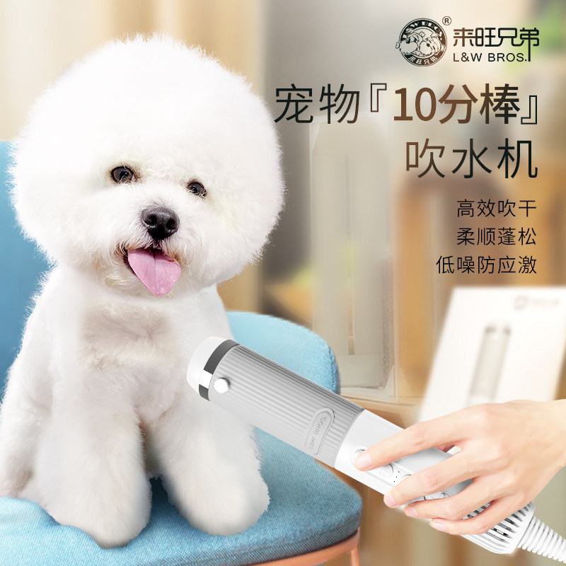 宠物10分棒吹水机高速吹水猫咪洗澡掌上手持低音狗狗沐浴泰迪比熊使用感如何?