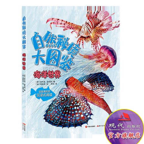 自然秘境大图鉴海洋世界安杰洛 莫杰塔著源希希绘海洋儿童科普读物美绘大图扫码观看附赠实拍影像海洋生物种类资料现代出版社