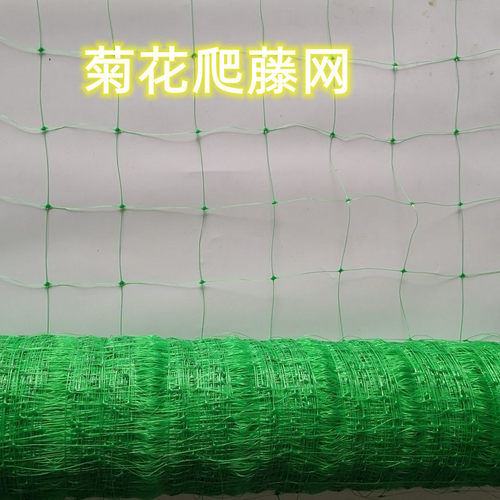 菊花爬藤种植网坚韧耐用