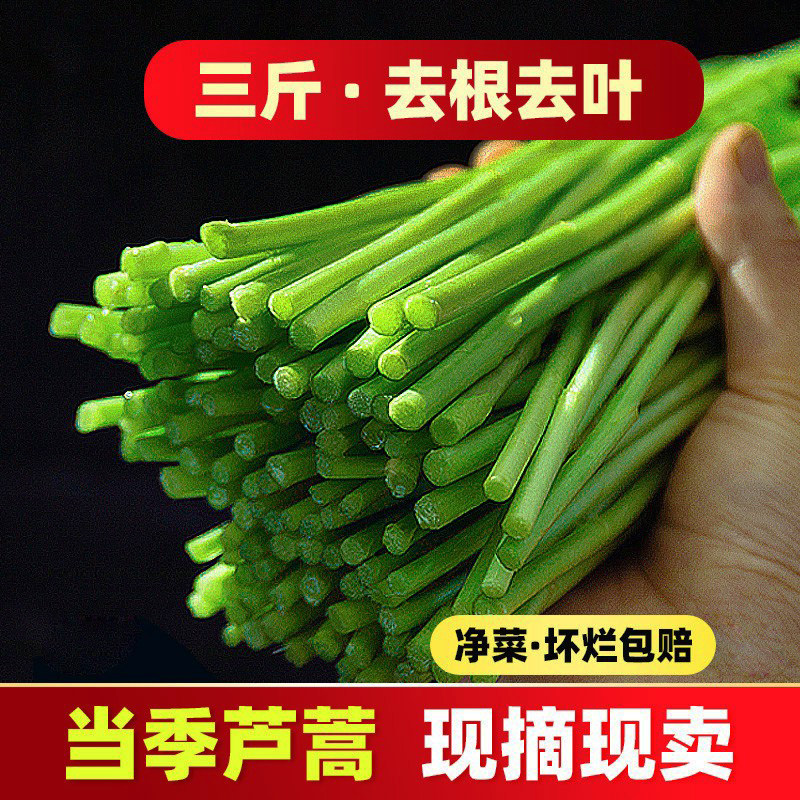 当季新鲜芦蒿3斤去叶蓠蒿农家自种现摘蔬菜野菜鲜嫩泥蒿藜蒿茼蒿